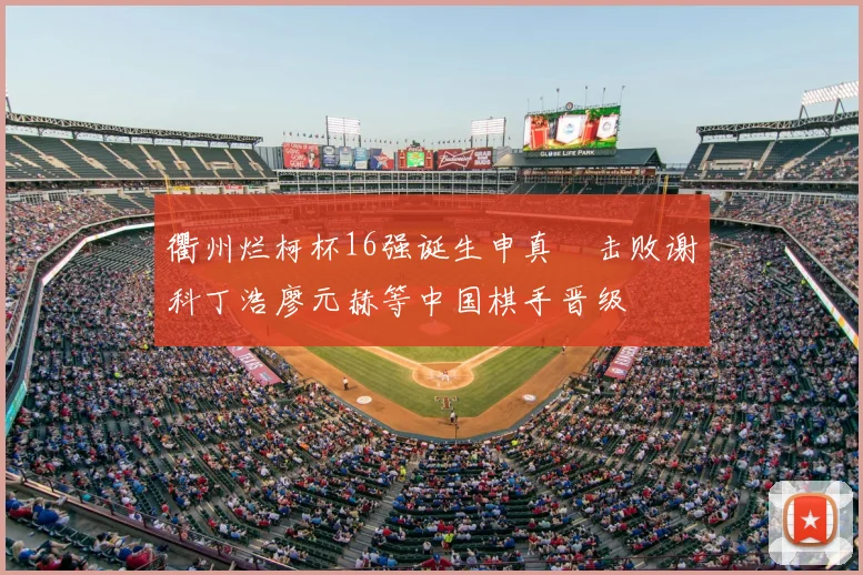 衢州烂柯杯16强诞生申真谞击败谢科丁浩廖元赫等中国棋手晋级